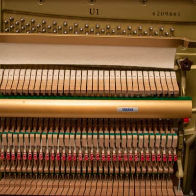 Yamaha U1 Upright Piano 2007 image 4