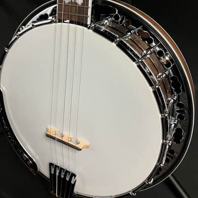 Gold Tone BG-150F 5-String Bluegrass Banjo w/ Flange Tobacco Sunburst w/ Gig Bag image 8