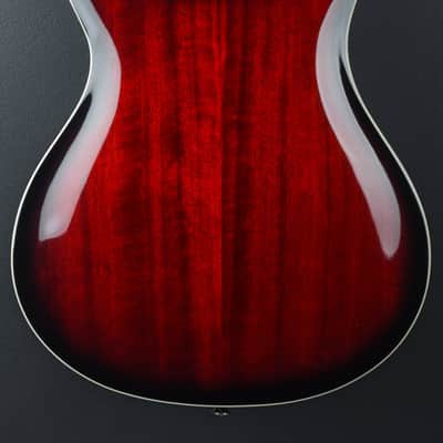 Paul Reed Smith SE Hollowbody Standard '19 image 4