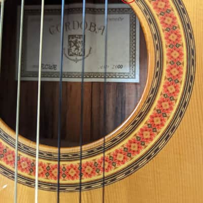Cordoba RCWE - Slimline Classical Guitar, Made in Spain image 4