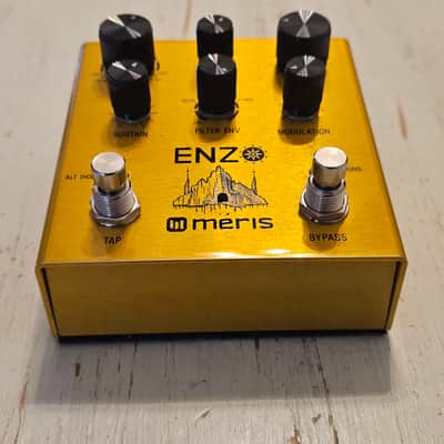 Meris Enzo Guitar Synthisizor image 2