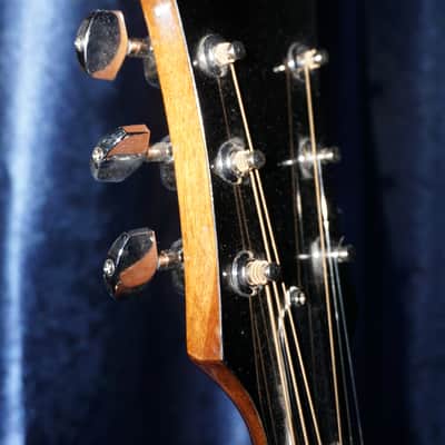 Epiphone FT-100CENA image 19