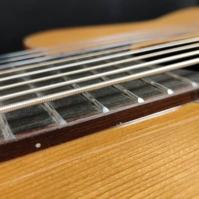 Ortega RCE 159-8 Performer Series 8-String Guitar image 9