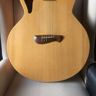 Tacoma BM6C Baritone Thunderhawk Datt Case image 2
