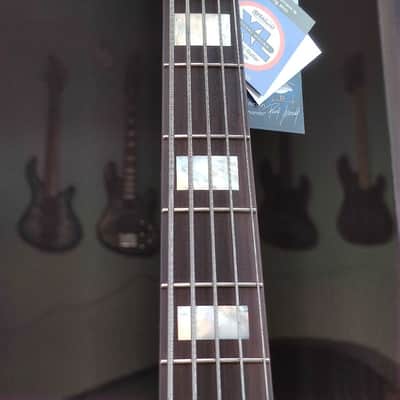 Sivcak Guitars OSC II 5 image 9