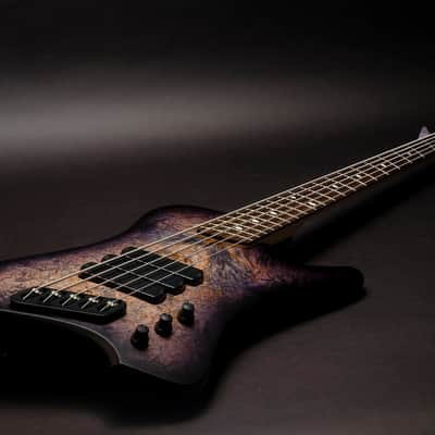 Dingwall D-Roc Custom 5 2025 - Trans Black Burst image 2