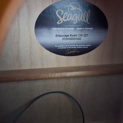 *With Case, Strap and Capo* Seagull Entourage Dreadnought CW QIT 2010s - Autumn Burst image 12