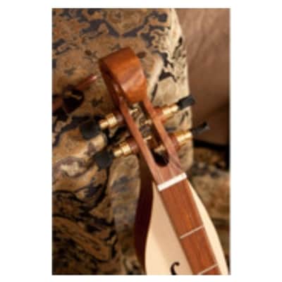 Roosebeck DMCRT4 Mountain Dulcimer 4-String with Cutaway Upper Bout and F-Holes. New with Full Warranty! image 9
