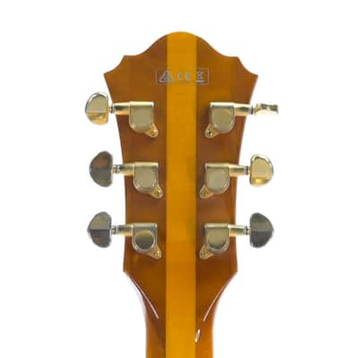 Ibanez PM2-AA Pat Metheny Signature Model image 5