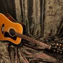 Guild D40 1973 Westerly Built Great Player Condition Vintage Guild Acoustic Excellent Playability