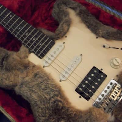 Yamaha Furry Burrito image 2