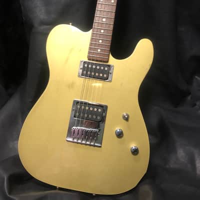 Schecter Tele image 1