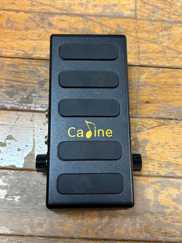 Caline CP-31P Volume and Expression Controller Pedal image 1