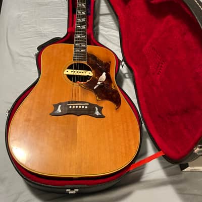 Gibson Dove 1968 - 1974 - Natural image 3