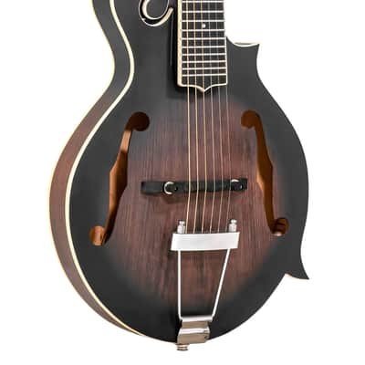 Gold Tone F-6 F-Style Mando-Guitar with Pickup and Case image 1