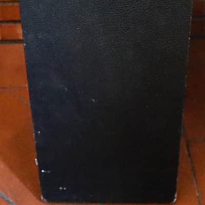 Newton Limec R200 electric and acoustic guitar combo amp 2x8 vintage 70s image 6