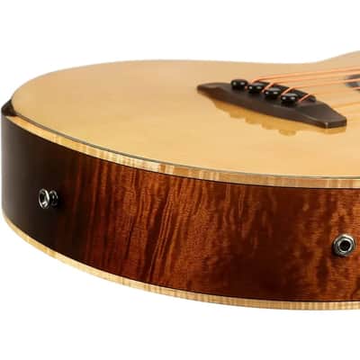 Ortega KTSM2-4 Signature Series Ken Taylor Solid Spruce Top Nato Neck Cutaway 4-String Acoustic-Electric Bass Guitar w/Gig Bag image 14