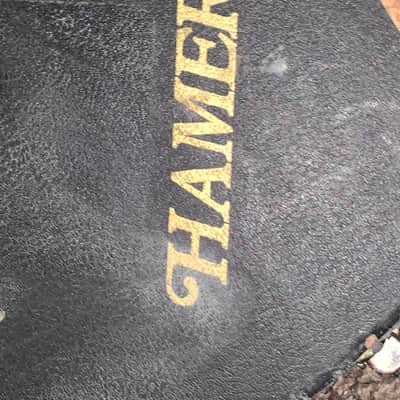 Vintage 1980’s Hamer USA  Guitar hardshell case  for Flying V vector image 3
