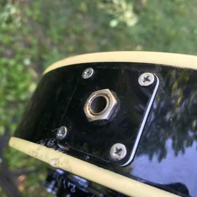 Burny Lawsuit Singlecut John Sykes image 15