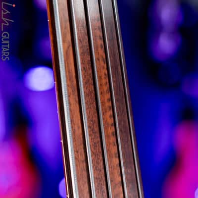Benavente SCB (Single Cutaway Bass) - Hollow body Natural 5-String Fretless image 15