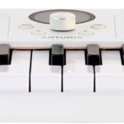Arturia AstroLab 37-Key Stage Keyboard, White image 4