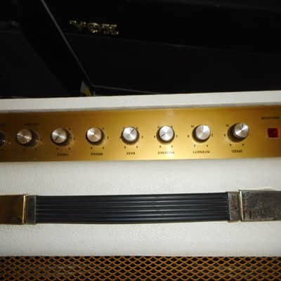 Marshall Limited Edition 35th Anniversary JTM 1962 Blues breaker 30-Watt ( All Vintage British Tubes and New Road case )2x12" Guitar Combo 1997 - White Levant image 3
