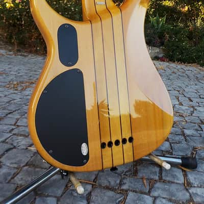 Peavey Cirrus 5 BXP Neck-through image 11