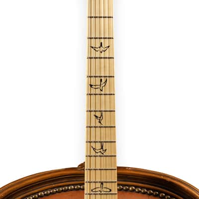 PRS 2025 Swamp Ash Special Maple 88 Black Doghair Smokeburst image 5
