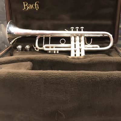 Bach Stradivarius Trumpet Model 43 image 2