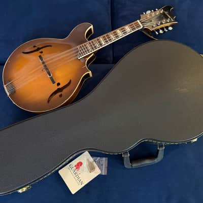 Vintage Harmony Batwing Mandolin Bild 19