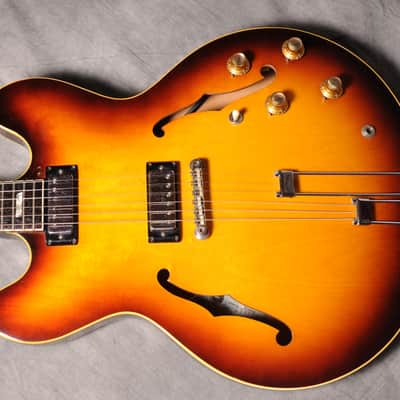 Immagine Epiphone Riviera E 360 TD 1967 - Sunburst - 9