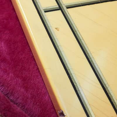 Gibson Explorer Designer Series 1985 | White Blue Stripes image 11