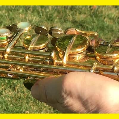 MARTIN 1930 GOLD PLATED PORTRAIT " THE GOLDEN-WINGED WARBLER " MASTER TYPEWRITER HANDCRAFT ALTO SAXOPHONE STUNNING LOVELY ENGRAVING & PLAYING WELL, ORG CASE , TECH SERVICED FREE SHIP image 6