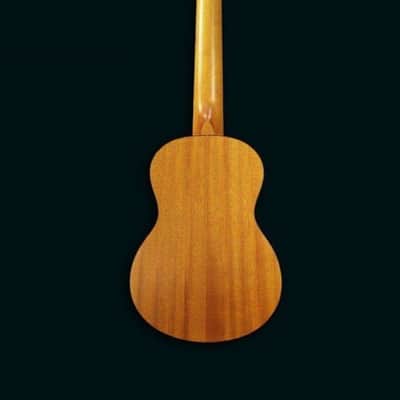 PukanaLa Model PU-NVT Tenor Ukulele with Sapele Mahogany Top, Back and Sides image 2