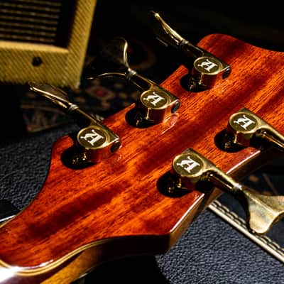 ALEMBIC MJLB5F Signature Standard 2010 image 13