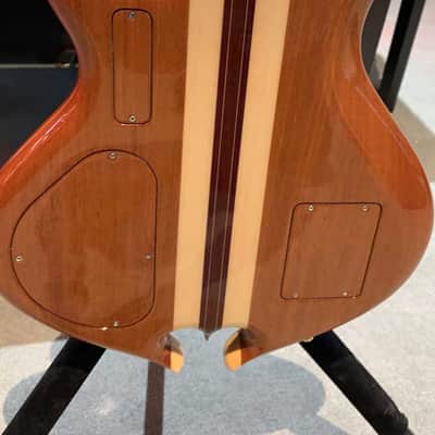 Alembic Darling (Pre-Owned) image 8