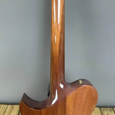 Carvin AE185 2001 image 8