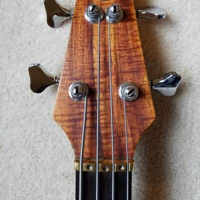 Alembic Spoiler 1984 image 3