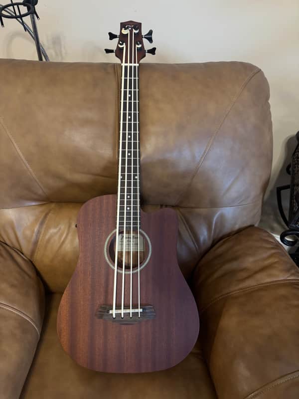 Gold Tone GT Series Micro Bass Mid 2000’s - Matt image 1
