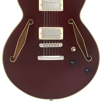 D'Angelico Excel SS Tour Collection- Solid Wine image 1