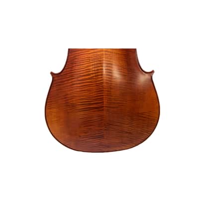 Rare Professional song maestro 5 Strings Cello 4/4, Stradivarius Model #15316 image 8