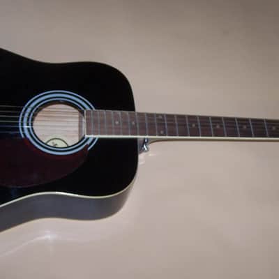 RARE Tyler Mountain TM10-BK Late 90's-2000 Acoustic Guitar VG Condition w/Gigbag image 4
