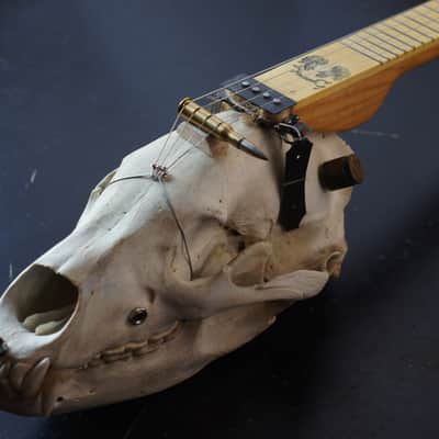 4 string cigarbox style bear skull guitar Spirit image 1