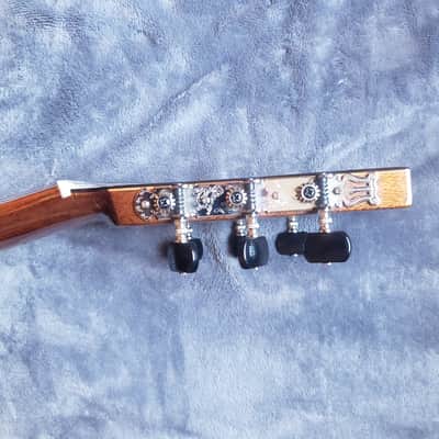 Alvarez Cadiz Series CC7HCE | E18110712 |  Sitka Spruce & Walnut image 17