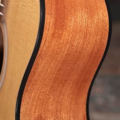Taylor 114ce Left-Handed Grand Auditorium Acoustic/Electric Guitar with Gig Bag image 11