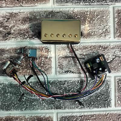 Veyz Sustainer Pickup System - Reversed Can Humbucker Design Gold Finish | Hosco Japan Push Push Potentiometer | Not A Sustainiac Stealth Pro Nor Fernandes Sustainer | image 6