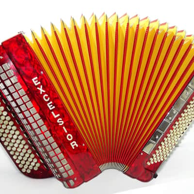 Perfect Excelsior 120 Bass Button Accordion, made in Italy, C System, Double Cassotto, 2538, includes Straps and Hard Case, Professional Accordian! image 2