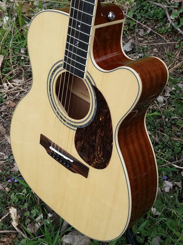 Zager Easy Play USA ZAD-50CE OM Natural image 1