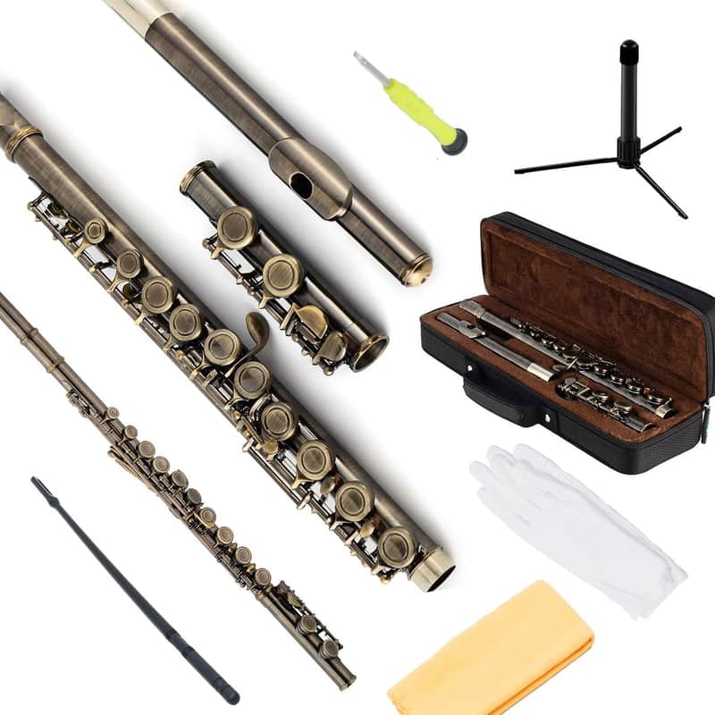 Closed Hole Flutes C 16 Key for Beginner, Kids, Student -Antique Flute with Case Stand and Cleaning kit image 1