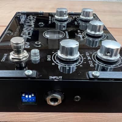 Early Gurus Echosex 2 Echorec Replica image 5